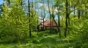 Działka 1 380,00 m², Warszawa, Białołęka, Pstra, Sprzedaż