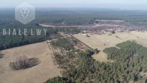 Działka 2 133,00 m², Świętajno, Sprzedaż