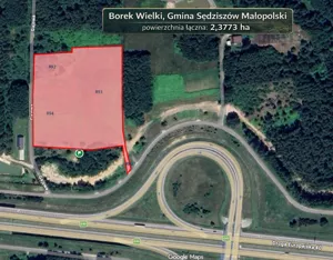 Działka 23 773,00 m², Borek Wielki, Sprzedaż