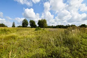 Działka 9 600,00 m², Mrowla, Sprzedaż