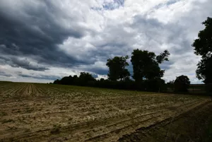 Działka 3 663,00 m², Przeworsk, Sprzedaż