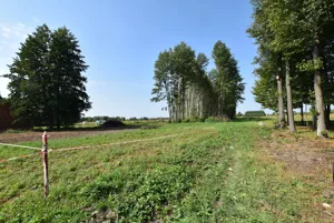 Działka 842,00 m², Trzebuska, Sprzedaż