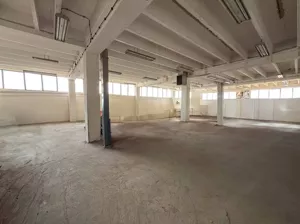 Magazyn 350,00 m², Rzeszów, Wynajem