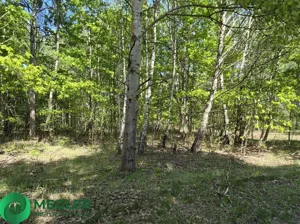 Działka 13 200,00 m², Budy Michałowskie, Sprzedaż
