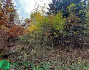 Działka 901,00 m², Rusiec, Sprzedaż