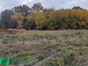 Działka 1 229,00 m², Rusiec, Sprzedaż
