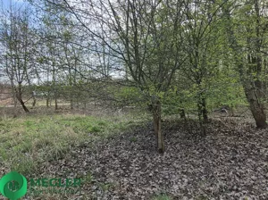 Działka 33 022,00 m², Rusiec, Sprzedaż