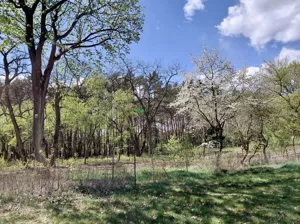 Działka 1 589,00 m², Józefów, Sprzedaż