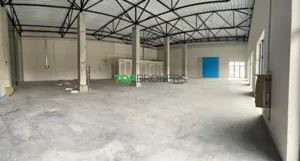 Lokal użytkowy 50,00 m², Wola Mrokowska, Wynajem