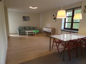 Mieszkanie jednopokojowe 38,00 m², Warszawa, Sapieżyńska, Wynajem