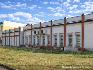 Biuro 394,00 m², Rogoźno, ul. Tadeusza Kościuszki, Sprzedaż