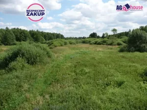 Działka 23 800,00 m², Ciechocin, Sprzedaż