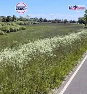 Działka 33 000,00 m², Maszewko, Sprzedaż