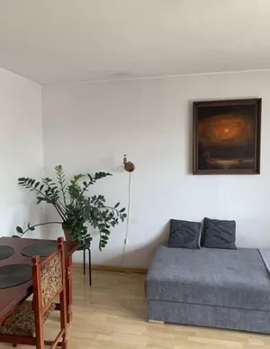 Mieszkanie dwupokojowe 51,15 m², Sosnowiec, Śródmieście, Wspólna, Sprzedaż