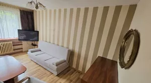 Mieszkanie dwupokojowe 35,70 m², Sosnowiec, Niwka, Zagłębiowska, Sprzedaż