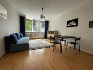 Mieszkanie dwupokojowe 41,00 m², Katowice, Koszutka, Wierzbowa, Wynajem