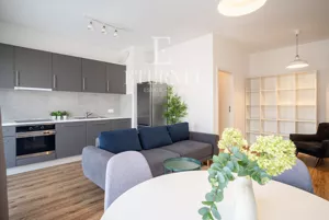Mieszkanie dwupokojowe 50,00 m², Kraków, Grzegórzki, Rakowicka, Wynajem