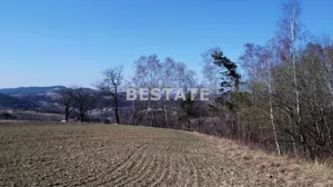 Działka 3 000,00 m², Czchów, Sprzedaż