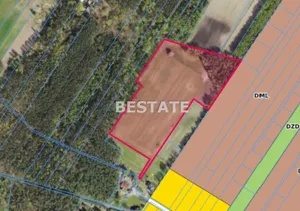 Działka 3 000,00 m², Pabianice, Sprzedaż