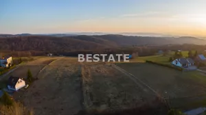 Działka 4 800,00 m², Pleśna, Sprzedaż