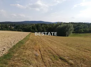 Działka 5 300,00 m², Ryglice, Sprzedaż