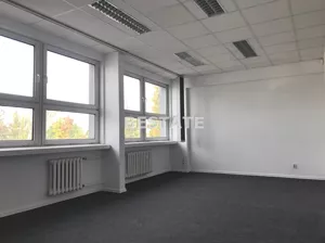 Lokal użytkowy 190,00 m², Pabianice, Wynajem