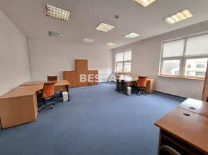Lokal użytkowy 192,87 m², Pabianice, Wynajem