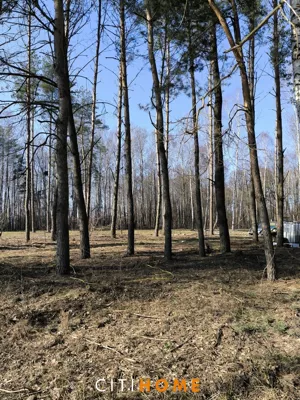 Działka 1 650,00 m², Glinianka, Sprzedaż