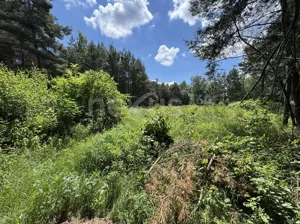 Działka 3 000,00 m², Gola Wielka, Sprzedaż