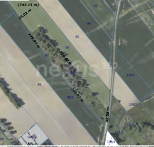 Działka 11 800,00 m², Łuczyna, Sprzedaż