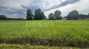 Działka 30 018,00 m², Sądrożyce, Sprzedaż