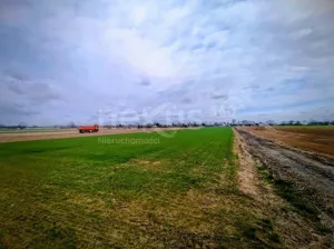 Działka 977,56 m², Świerzna, Sprzedaż