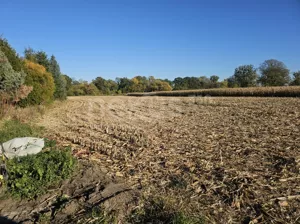 Działka 3 000,00 m², Szukalice, Sprzedaż