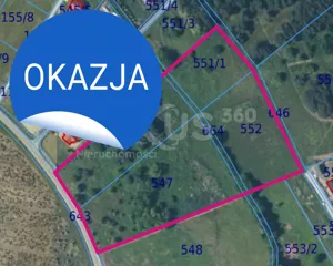Działka 18 800,00 m², Zawonia, Sprzedaż