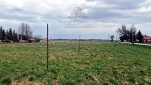 Działka 3 000,00 m², Sokolniki, Sprzedaż