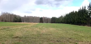 Działka 2 559,00 m², Życiny, Sprzedaż