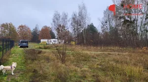 Działka 1 000,00 m², Trzciel, Sprzedaż