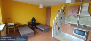 Mieszkanie jednopokojowe 35,00 m², Kraków, Dębniki, Ruczaj, Raciborska, Wynajem