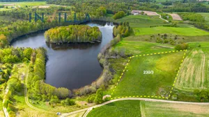 Działka 19 901,00 m², Borowy Las, Sprzedaż