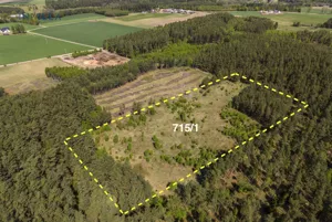 Działka 23 087,00 m², Skorzewo, Sportowa, Sprzedaż