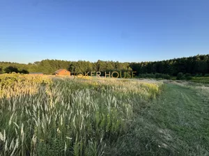 Działka 8 196,00 m², Tyczyn, Sprzedaż