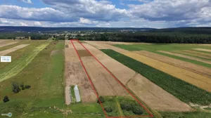 Działka 17 918,00 m², Bieliny, Sprzedaż
