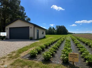 Działka 4 300,00 m², Busko-Zdrój, Sprzedaż