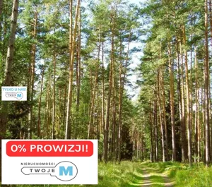 Działka 43 100,00 m², Chmielnik, Sprzedaż