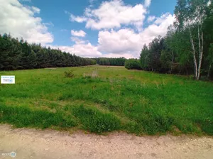 Działka 17 100,00 m², Gnojno, Sprzedaż