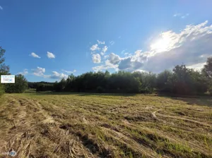 Działka 3 797,00 m², Masłów Drugi, Sprzedaż