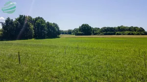 Działka 1 286,00 m², Łącko, Sprzedaż