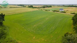 Działka 900,00 m², Łącko, Sprzedaż