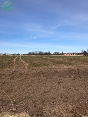 Działka 1 550,00 m², Sarbinowo, Ważki, Sprzedaż