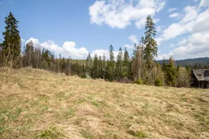 Działka 4 046,00 m², Nowy Targ, os. Marfiana Góra, Sprzedaż